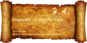 Hegedűs Antónia névjegykártya